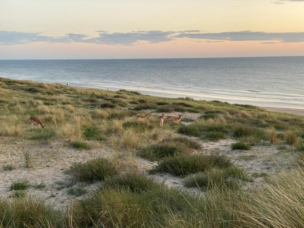 Zwarte Vis Leilighet Zandvoort Eksteriør bilde
